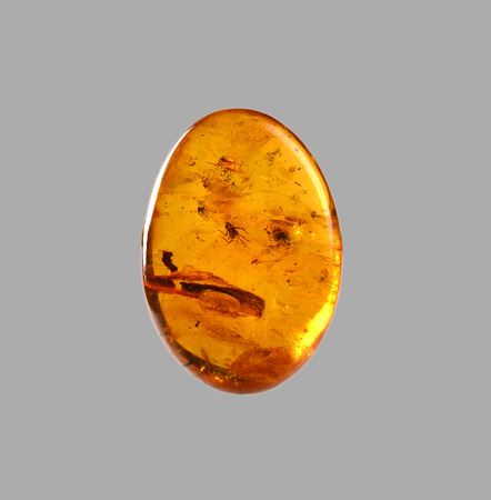 polished amber with spider insideの写真素材