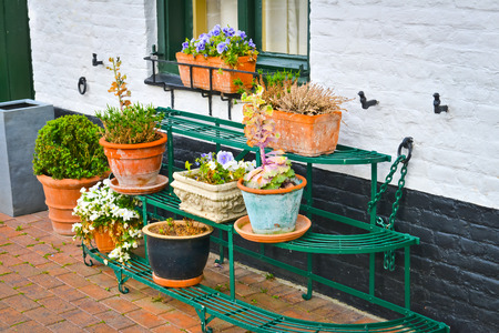Street decorated with flowers in Belgiumの写真素材