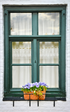 green window with flowersの写真素材