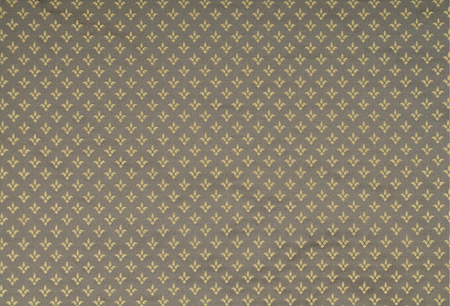 Fabric with floral embroidery textureの写真素材