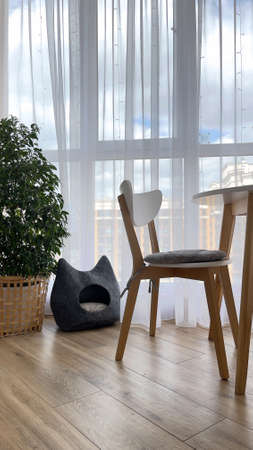 Cozy apartment with a house for a cat with a view of the courtyardの写真素材