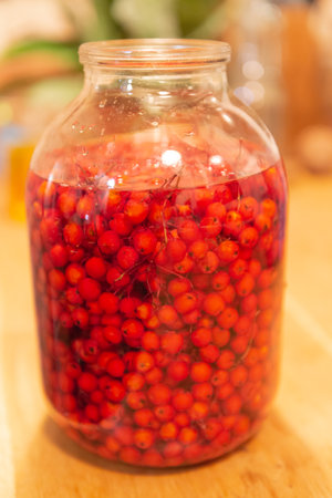 Manufacturer of tincture of mountain ash. Rowan berries in a glass jar. Vodka poured red berries.の写真素材