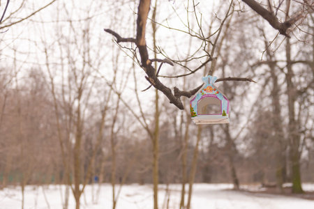 Bird feeder in the spring park. Paper bird feeder on tree branches.