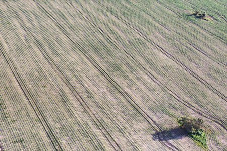 Neat spring European fields. Green fields with young shoots taken from the plane.