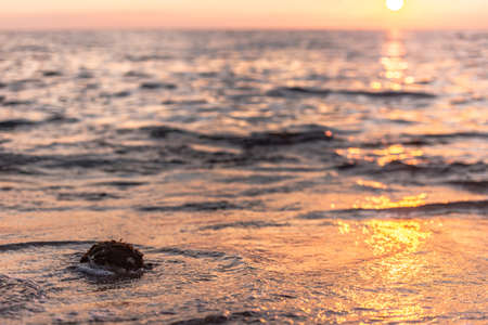 Sunset sun and waves close-up. Orange colors of the low sun in the Mediterranean Sea.の写真素材