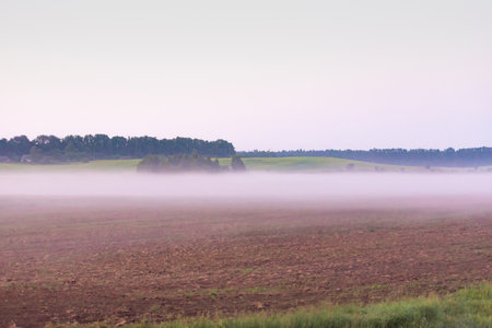 Morning before sunrise. Early morning and foggy fields in Belarus.の写真素材