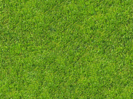 Seamless grass texture for 3d or 2d texturing Seamless grass texture for 3d or 2d texturing