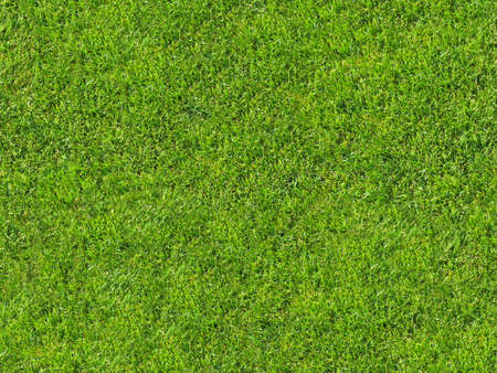 Seamless grass texture for 3d or 2d texturing