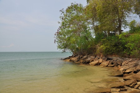Sea and forestの写真素材