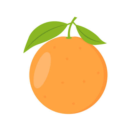 Orange with leaves. Whole fresh orange on a white isolated background. Flat vector illustration.のイラスト素材