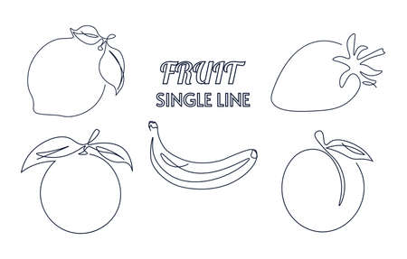 Set of single line drawn fruits. One line continuous drawing in a minimal style. Abstract contour drawing. For print, health concepts. Isolated vector illustration.のイラスト素材