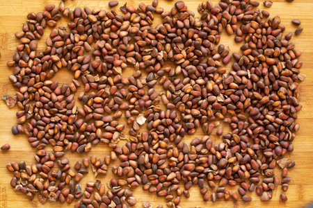 Cedar nut kernels, cedar nut shells. Cedar nut on wooden background.の写真素材