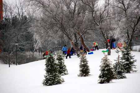 Winter family fun. Sledging downhill.