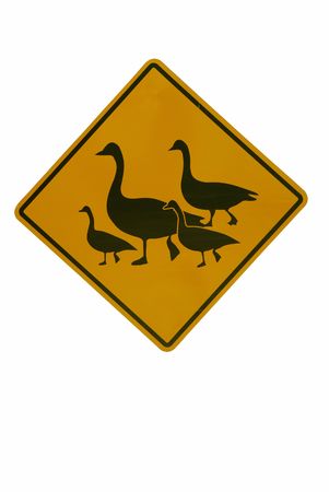 Caution goose sign の写真素材