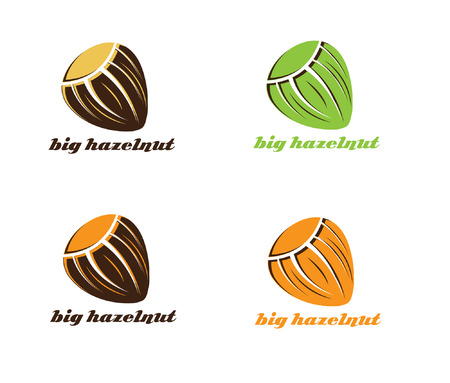 illustration of big hazelnutのイラスト素材
