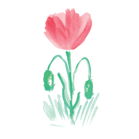 Handwritten watercolor flower. Vectorのイラスト素材