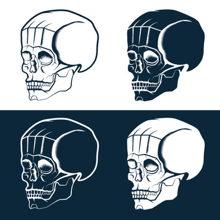 set of skulls vector design templateのイラスト素材