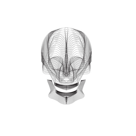 line craft skull vector design templateのイラスト素材