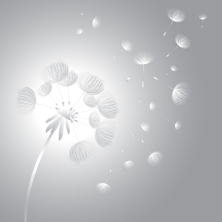 Abstract fluffy dandelion flower. Vector illustrationのイラスト素材