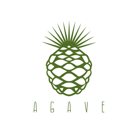 vector design template of the agave plantのイラスト素材