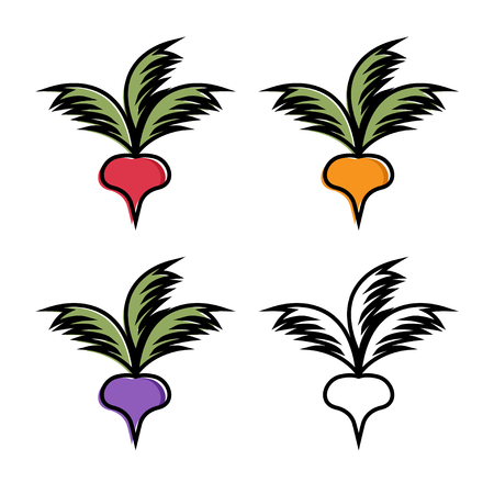 Radish illustration isolated on white . Vector setのイラスト素材