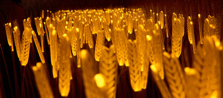 CoruÃ±a, Spain; June,12,2023;Artificial rural landscape at the Beer Museum in CoruÃ±a. Rye ripening background made with artificial lightのeditorial素材