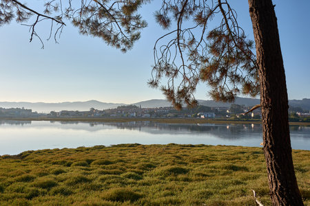 The elevated vantage point from the campsite offers a sweeping view of this natural wonder, where the meeting of river and sea creates a picturesque and serene landscape. This scene perfectly captures the beauty and tranquility of Galicia's coastal environment, making it a must-see for nature enthusiasts and campers.の写真素材