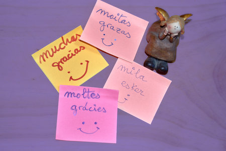 This image showcases four colorful notes expressing gratitude in Spain's four official languages: Castilian, Galician, Catalan, and Basque. Each note reflects the rich linguistic diversity of Spain, symbolizing unity in diversity. The bright colors of the notes against a simple background highlight the messages, making it a perfect visual for Thank You Day.の写真素材