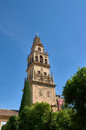 The imposing Bell Tower of the Mosque-Cathedral of Cordoba stands majestically against a vibrant blue sky, a symbol of the rich history of Andalusia, Spain. This low-angle shot, framed by the green of the trees, highlights the warm tones of the stone and its detailed architecture, making it perfect for illustrating content about travel, history, cultural heritage, or European tourist destinations.の写真素材