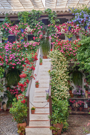 Traditional Andalusian patio filled with pots of brightly colored flowers such as geraniums, petunias, and bougainvilleas, decorating whitewashed walls and a central well. A harmonious composition with natural light, handcrafted elements, and lush vegetation, ideal for representing cultural tourism, spring, and the Mediterranean lifestyle.の写真素材