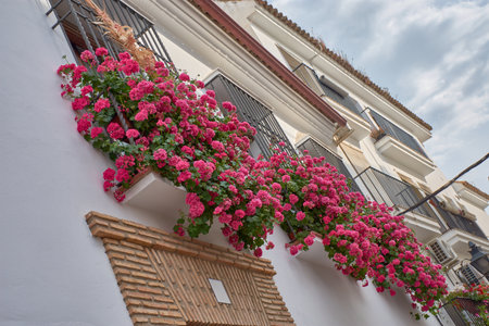 Traditional Andalusian patio filled with pots of brightly colored flowers such as geraniums, petunias, and bougainvilleas, decorating whitewashed walls and a central well. A harmonious composition with natural light, handcrafted elements, and lush vegetation, ideal for representing cultural tourism, spring, and the Mediterranean lifestyle.の写真素材