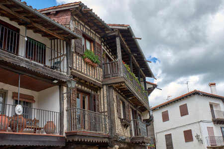 Cobbled alley in La Alberca flanked by traditional stone and half-timbered houses, with balconies and windows decorated with pots and flowers. The composition highlights the rural charm and history of Spain's first historic-artistic site, conveying a cozy and nostalgic atmosphere. The warm colors of the facades combine with the green of the plants, ideal for commercial uses related to tourism, heritage, and rural cultureの写真素材