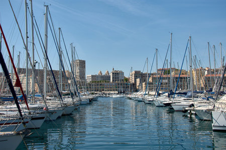 Rows of sailboats and yachts line up in the port of Marseille under a blue sky, their masts reflecting in the calm waters while the city spreads out in the background with modern buildings and historic domes. The central, symmetrical composition highlights the harmony between maritime life and the urban environment, conveying freshness, dynamism, and tourist appeal. Ideal for illustrating themes related to tourism, nautical activities, urban life, and French landscapes.の写真素材