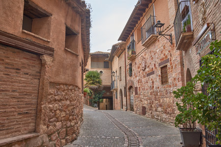 A view of a narrow, cobblestone street in the village of Alquezar, lined with old stone and brick houses. The perspective of the receding street invites the viewer to explore the village's rustic charm, highlighting architectural details such as wrought-iron balconies, street lamps, and potted plants. The diffused lighting and the ocher tones of the buildings create a serene and timeless atmosphere, ideal for content about travel, tourism, historical architecture, or rural life in Spain.の写真素材