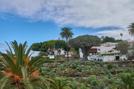Icod de los Vinos, Tenerife, Spain, January 15, 2026,The legendary ancient Dragon Tree stands majestically in the center of a lush botanical garden, surrounded by palm trees and the characteristic white architecture of Icod de los Vinos. The composition bのeditorial素材