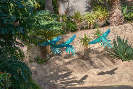 Several blue-and-yellow macaws glide majestically with their wings outstretched above the dense green foliage. The contrast of the cobalt blue and golden yellow against the sky and vegetation creates a dynamic and vibrant composition, perfect for travel agency banners, nature articles, and environmental awareness campaignsの写真素材