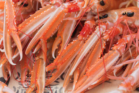 A set of fresh langoustine claws displays a vibrant gradient of coral and white tones under natural...
