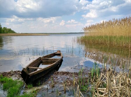 an old Fisherman's boat on the shore in reeds in a small lakeの写真素材