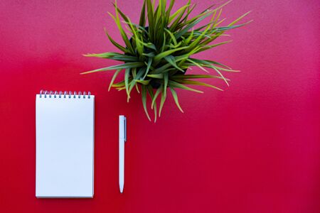 White papered spiraled notebook, white pen and green plant at red background, view from the top. Good for new year motivation and planning.の写真素材