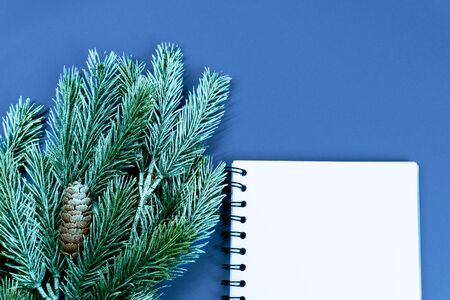Blank notebook with tree green branches on blue background, the color of the year 2020. Christmas and new year concept. Enough space for text, motivation, plans and goals.の写真素材