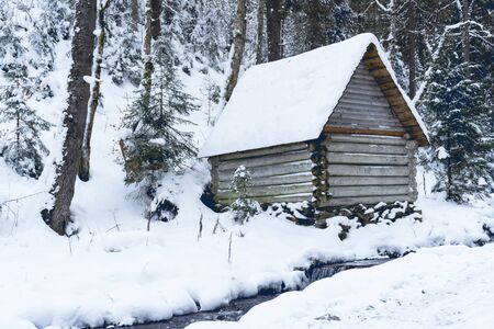 View at wooden buiding in winter forest, snow is all around. Day time, good background. Winter forest concept.の写真素材