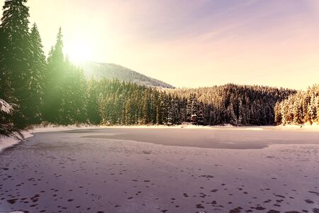 View at the lake Sinevir at winter sunny calm day, view at snowy forest and frozen lake, clear sky, no clouds. Concept of relax and unity with nature. Good for banners.の写真素材