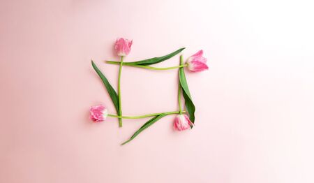 Flower composition from pink tulips make frame for invitation or text on pink background, copy space, closeup, flat lay, view from the top.の写真素材