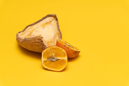 Creative composition with moldy dried yellow melon and orange tangerines, yellow background, copy...