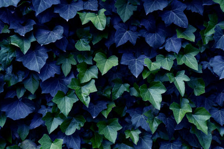 Background of bright and dark leaves, toned image, modern concept, wallpaper, creative