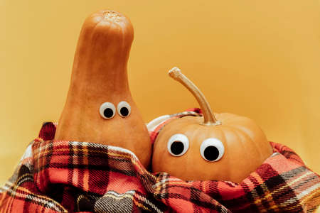 Pumpkin with googly eyes in warm red scarf, warm autumn concept, yellow background with copy space.の写真素材