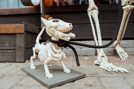 Halloween decoration near cafe or restaurant, modern skeletons sitting, talking, using mobile phones, having fun like people outdoor.の写真素材
