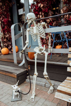 Halloween decoration near cafe or restaurant, modern skeletons sitting, talking, using mobile phones, having fun like people outdoor.の写真素材
