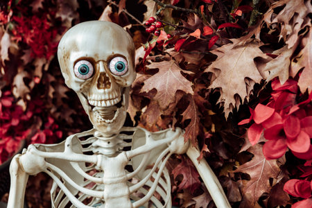 Halloween decoration near cafe or restaurant, modern skeletons sitting, talking, using mobile phones, having fun like people outdoor.の写真素材
