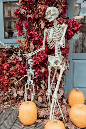 Halloween decoration near cafe or restaurant, modern skeletons sitting, talking, using mobile phones, having fun like people outdoor.の写真素材